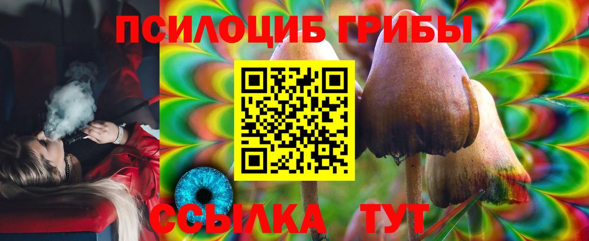 Псилоцибиновые грибы Cubensis Кыштым