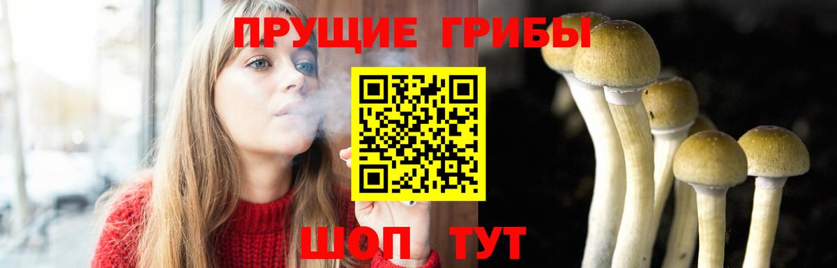 Кыштым  Галлюциногенные грибы ЛСД  Псилоцибиновые грибы Magic Shrooms  Вход с VPN 